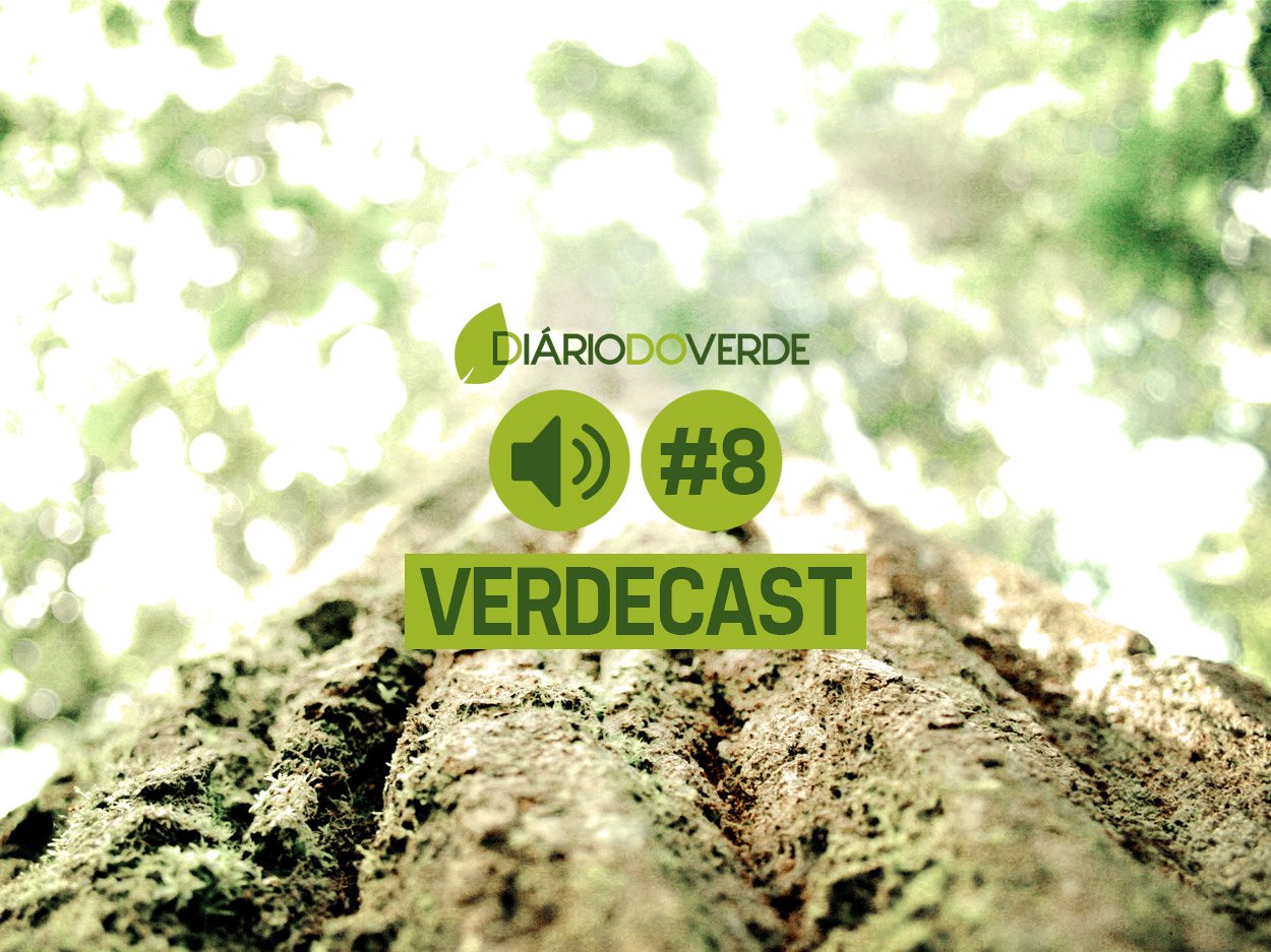 VerdeCast: entrevista com Luciana Ribeiro #8