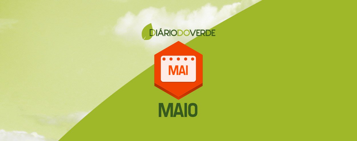 Maio
