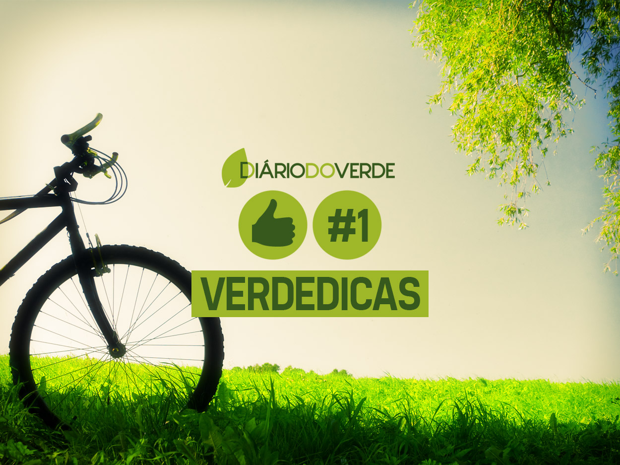VerdeDicas - Post 1