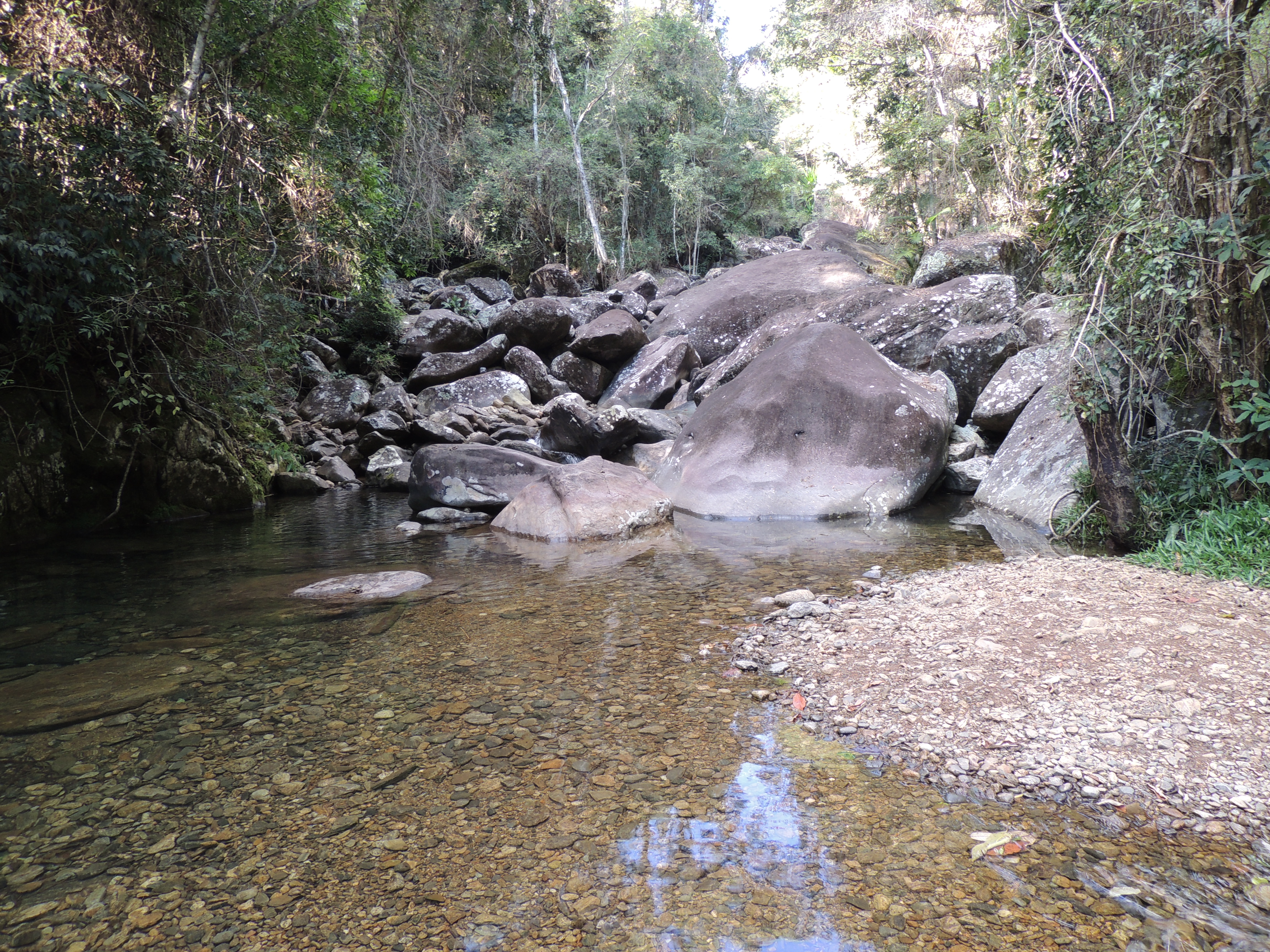 Dia da Mata Atlântica