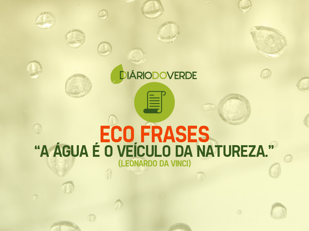 Eco-Frases | Diário do Verde